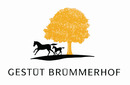 Gestüt Brümmerhof